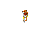 anima tigre.gif (38928 bytes)
